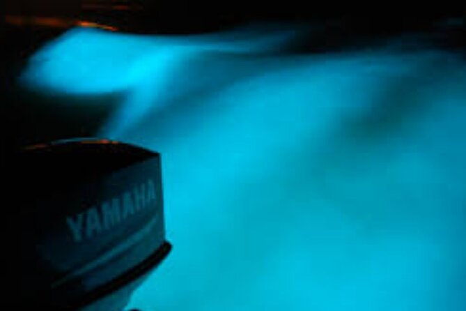 magical-luminous-lagoon-private-tour