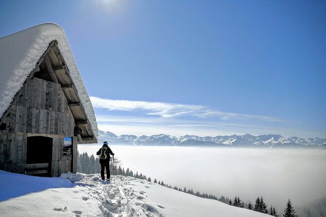 magical-snowshoeing-in-bohinj-valley-2