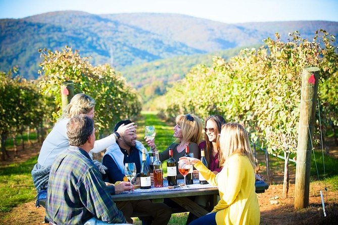 maipo-valley-wine-tour-with-4-vineyards-from-santiago