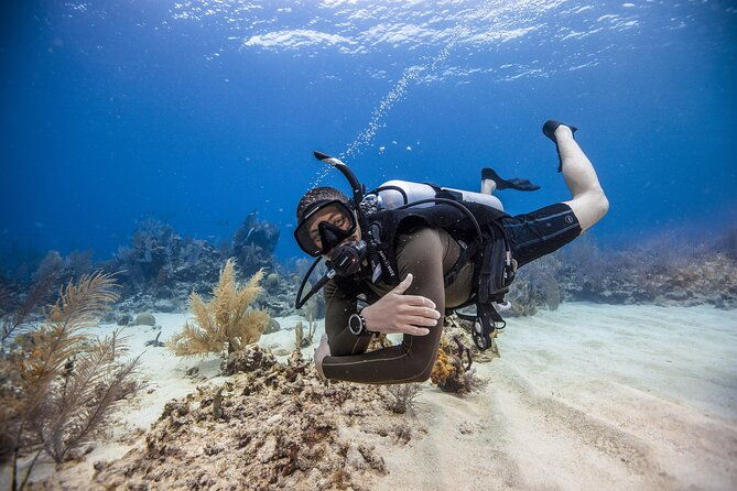 mallorca-private-reservationscuba-dive-photo-video-2
