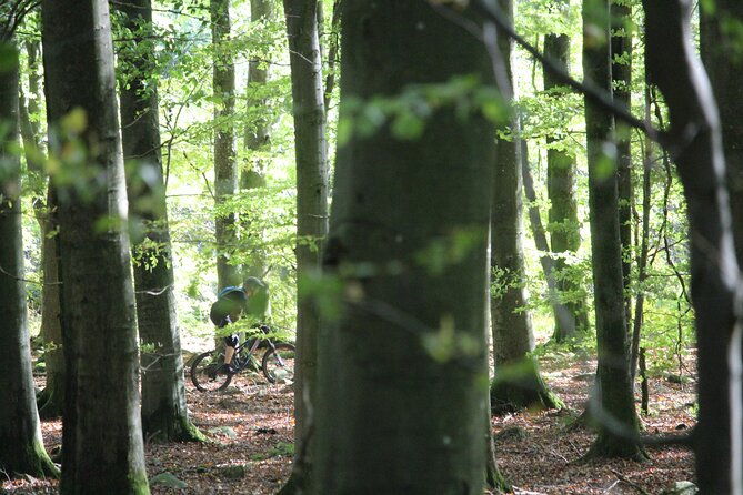 malmo-bike-rental-2