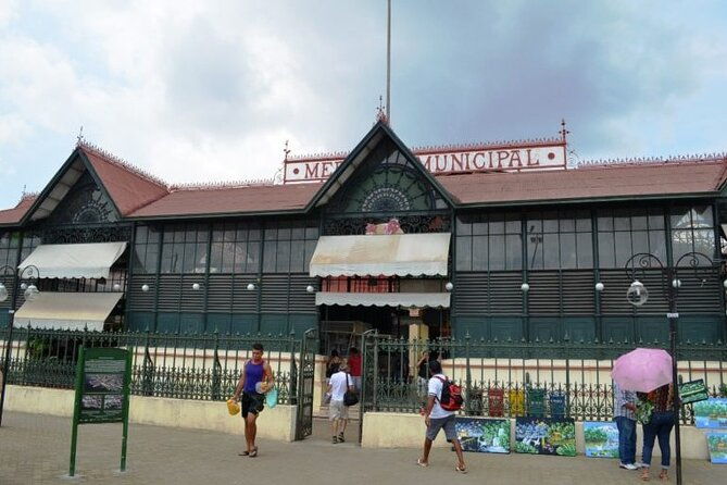 manaus-city-tour-and-musa
