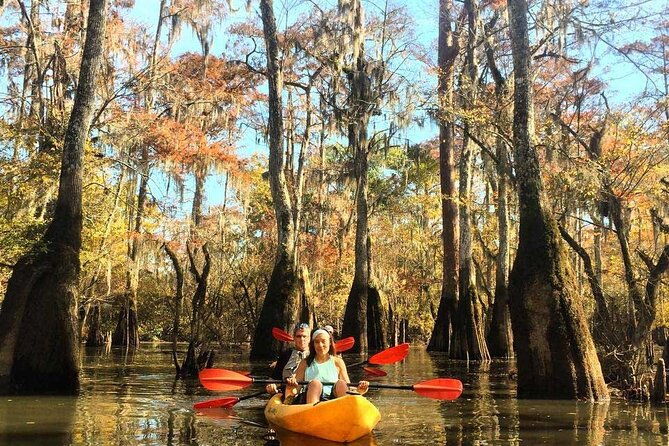 manchac-swamp-kayak-tour-for-experienced-kayakers-with-pickup