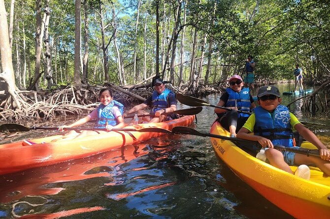 mangrove-jungle-exploration-on-sup-kayak