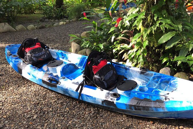 mangrove-kayak