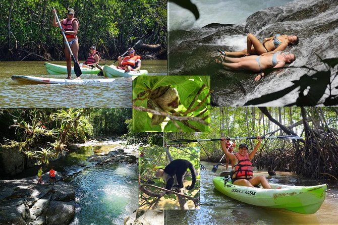 mangrove-kayaking-or-boat-adventure