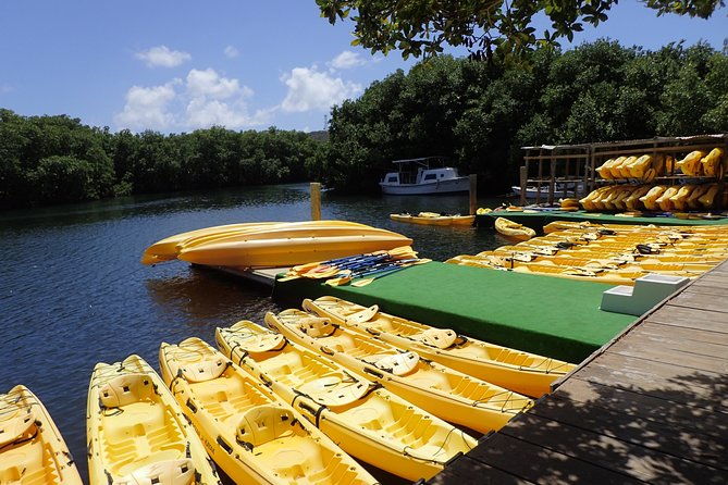 mangrove-lagoon-kayak-rental-in-st-thomas
