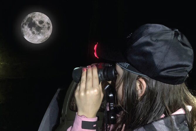 mangrove-night-tour