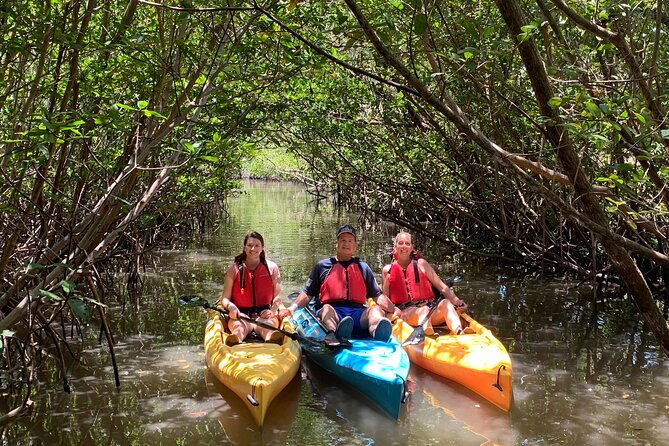 mangrove-tunnel-kayak-eco-tour