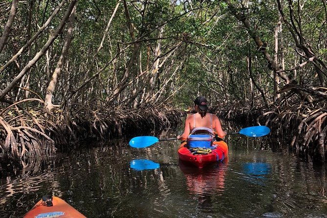 mangrove-tunnels-pedal-kayak-eco-tour-in-anna-maria