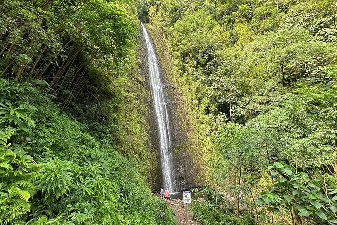 manoa-falls-electric-bike-to-hike-experience-local-meal-included