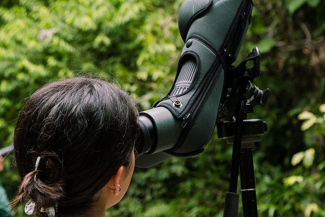 manuel-antonio-esquipulas-birdwatching-tour