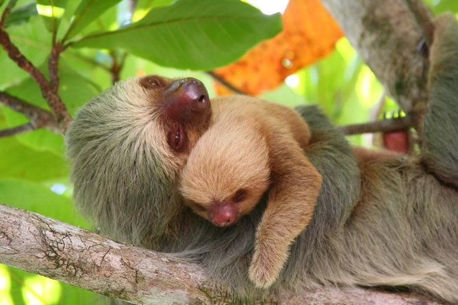 manuel-antonio-national-park-day-trip-from-san-jose