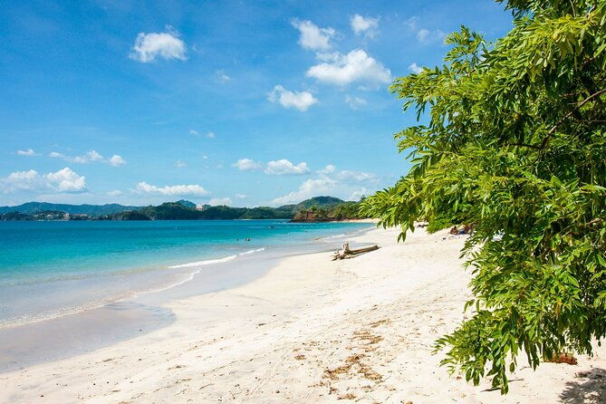 manuel-antonio-national-park-full-day-tour-from-san-jose