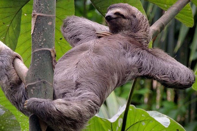 manuel-antonio-national-park-guided-tours