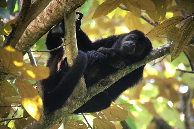 manuel-antonio-park-private-nature-guided-tour-experience