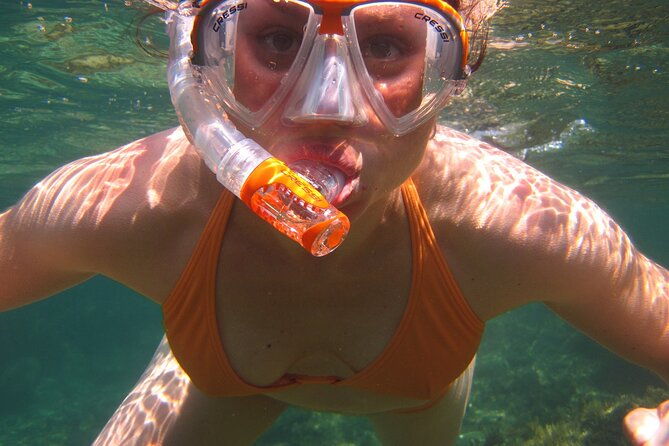 marathon-key-3-hour-snorkeling-adventure-on-a-pontoon-at-sombrero-reef