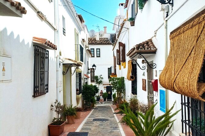 marbella-group-walking-tour-2