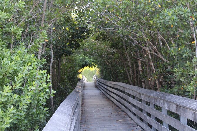 marco-island-photography-experience