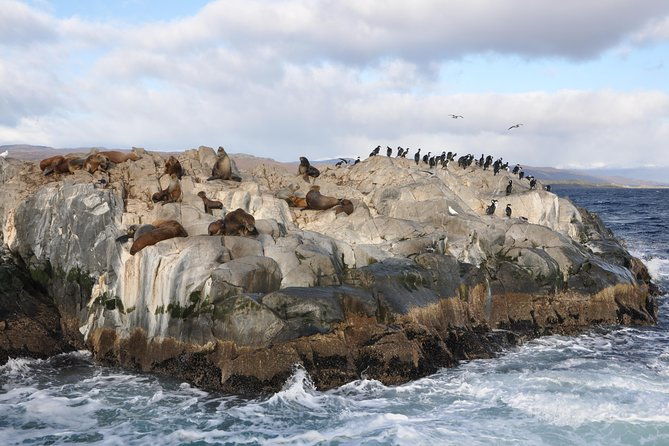 martillo-island-boat-trip-to-the-penguin-colony-beagle-channel