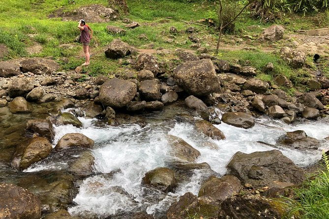 martinique-shore-excursion-unmissable-martinique-north-tour