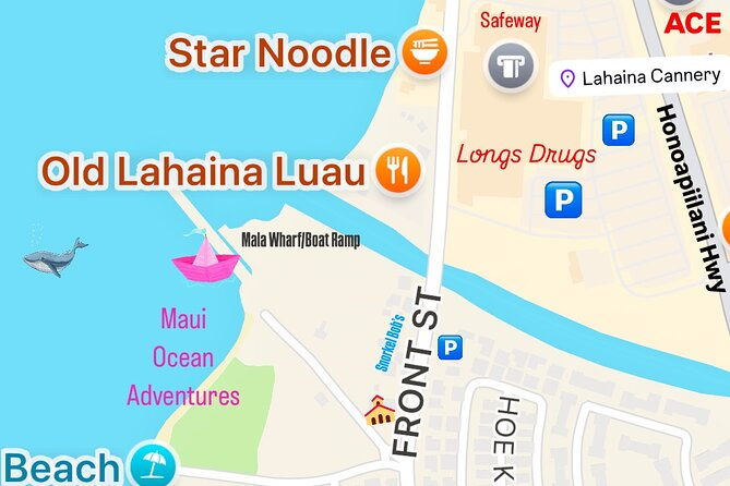 maui-mid-day-magic-whale-watch