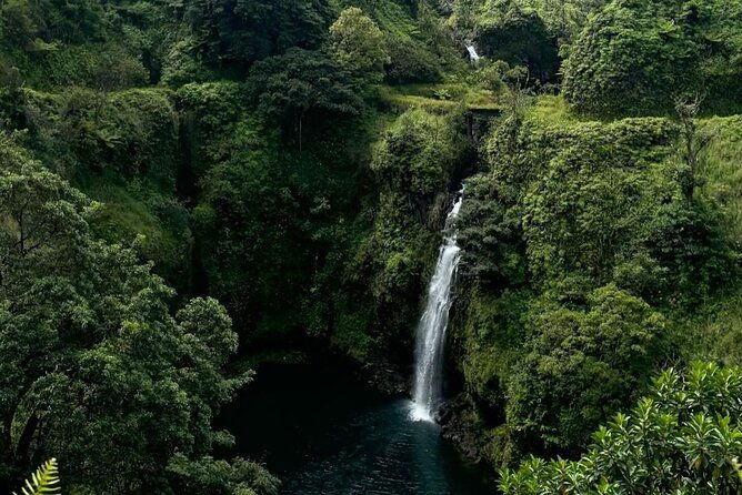 mauis-sea-turtles-waterfalls-and-road-to-hana-adventure