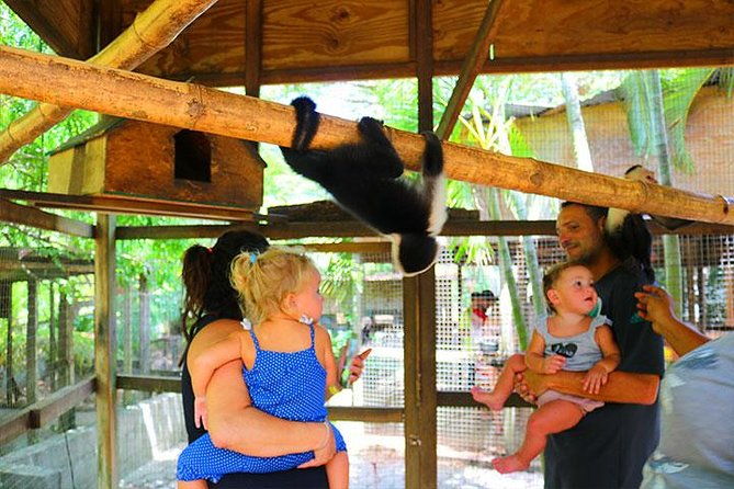 mayan-jungle-zipline-monkey-sloths-city-tour-private-vehicle