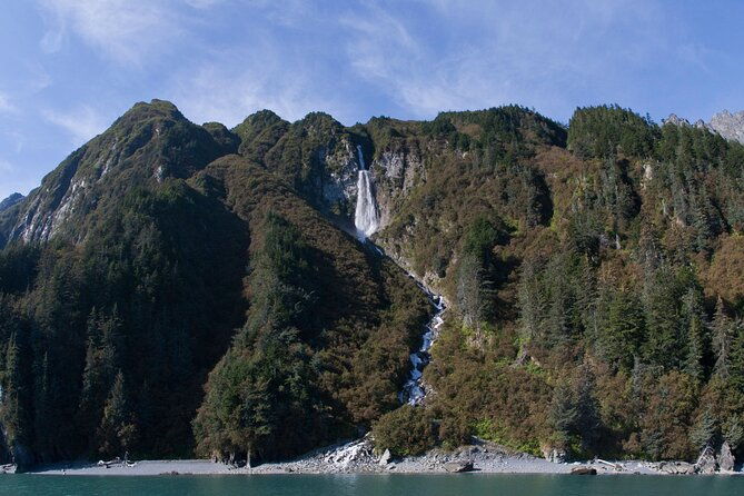 meares-glacier-cruise-excursion-from-valdez