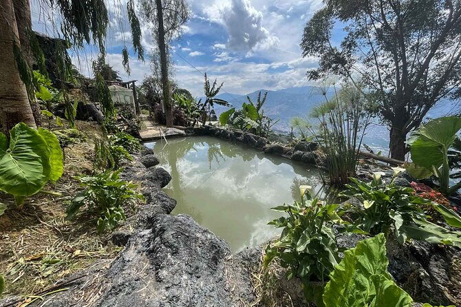 medellin-coffee-tour-spa
