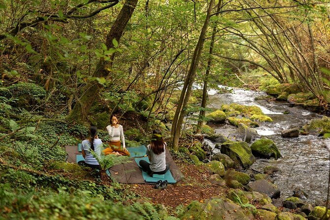 meditation-experience-in-nature-with-primeval-forest-and-springs