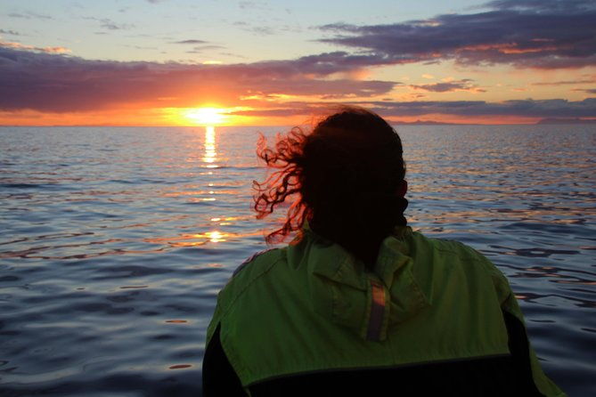 midnight-sun-whale-watching-from-reykjavik