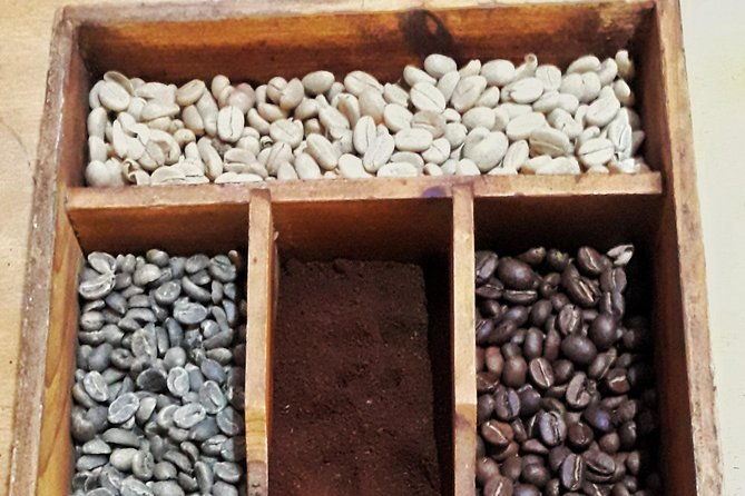 minca-coffee-and-cocoa-tour