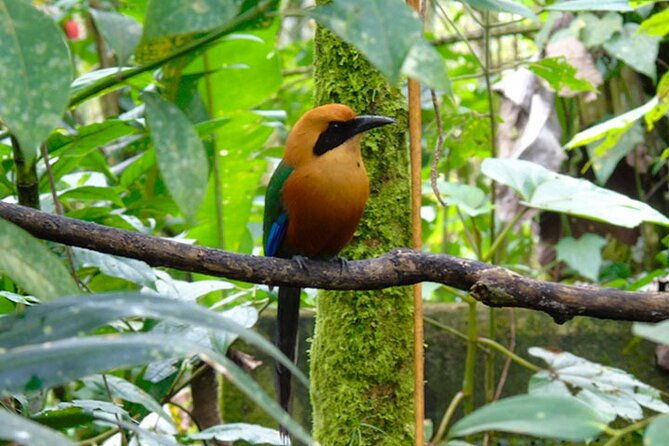 mindo-cloud-forest-from-quito