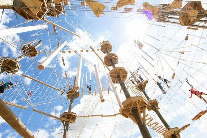 minnesotas-ultimate-high-ropes-course-2