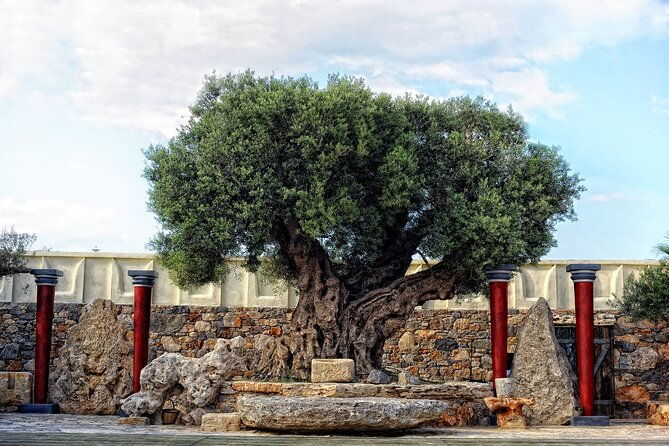 minoan-day-experience