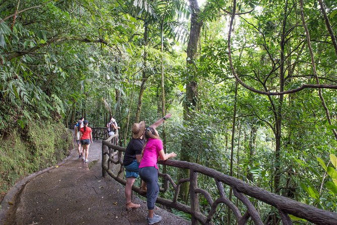 mistico-hanging-bridges-am-or-pm-guide-transport