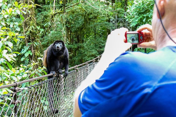 mistico-park-hanging-bridges-guided-tour