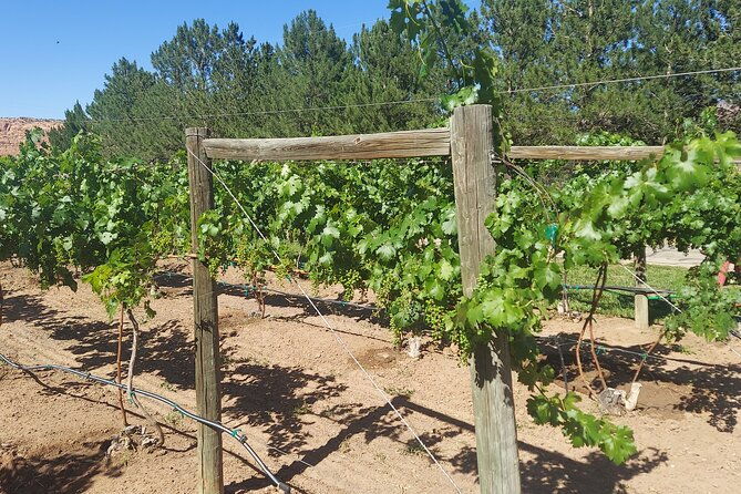 moab-back-roads-history-and-winery-e-bike-tour-2