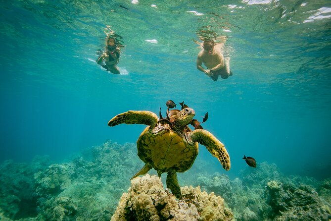 molokini-snorkel-whale-watching-from-kihei-2