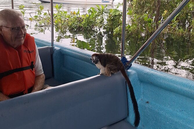 monkey-island-eco-wild-life-adventure-on-lake-gatun