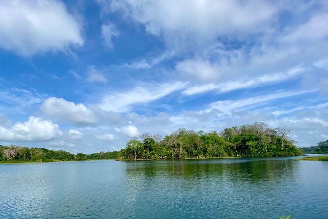 monkey-watch-and-gatun-lake-wildlife-safari-tour