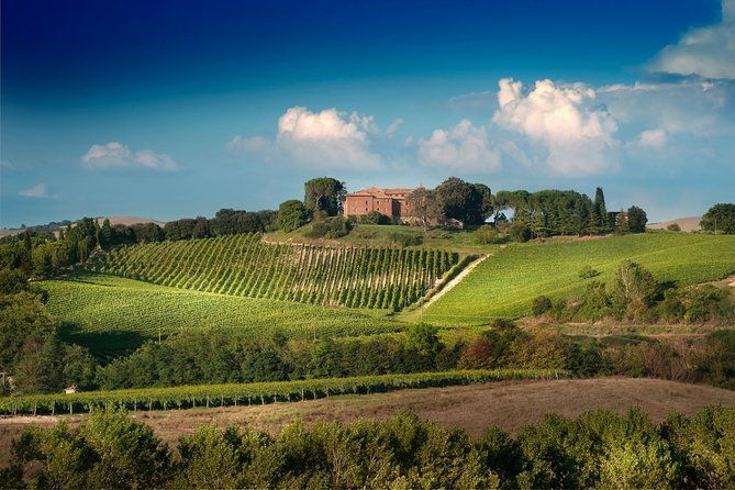 montalcino-brunello-wine-tasting-experience