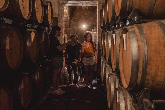 montalcino-castle-and-vineyards-tour-with-tasting-2