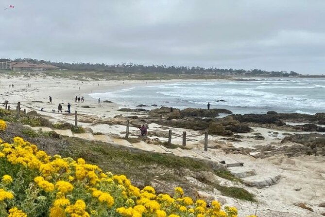 monterey-bay-famous-dog-friendly-electric-bike-and-sidecar-tour