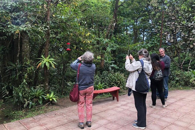 monteverde-cloud-forest-authentic-experience