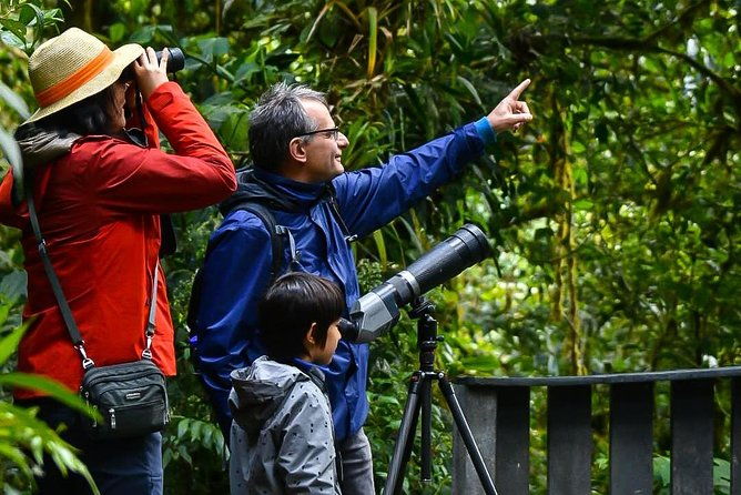 monteverde-cloud-forest-guided-walk-and-hummingbird-sanctuary