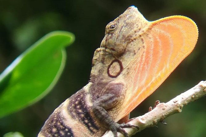 monteverde-cloud-forest-tour