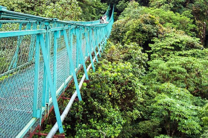 monteverde-hanging-bridges-day-trip-from-san-jose