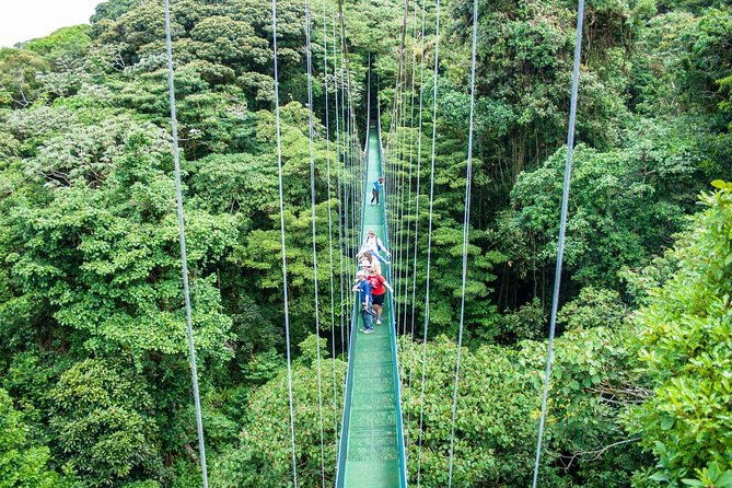 monteverde-sky-tram-hanging-bridges-cloud-forest-tour-from-san-jose